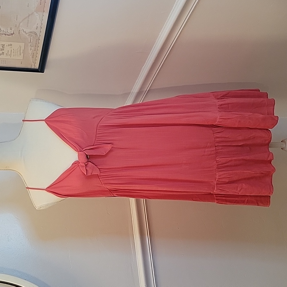 Lizard‎ Thicket A Fathers Love Spaghetti Strap Pink Dress Womens Medium